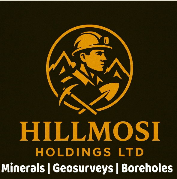 hillmosiholdings.com